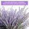 20 Bundles UV Resistant Artificial Lavender Flowers for Outdoors, Fake Purple Lavender Plants for Window Box, Porch, Patio, Garden and Home Decoration